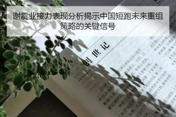 谢震业接力表现分析揭示中国短跑未来重组策略的关键信号