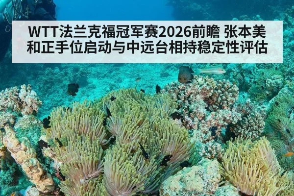 WTT法兰克福冠军赛2026前瞻 张本美和正手位启动与中远台相持稳定性评估